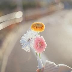 �����܂����B / �����ۂ񂿂�