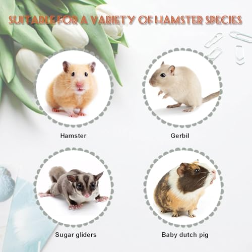 LOS ANDES Hamster Maze Double-Decker Wood House, Seesaw Toy, Bridge and Swing Hideout Cage Decor for Syrian Hamsters Dwarf Gerbil Mouse Mice Rat Small Animals(Only for Small Hamster) - Image 5