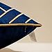 Avigers 18 x 18 Inches Navy Blue Gold Striped Cushion Case Luxury European Throw Pillow Cover Decorative Pillow for Couch Living Room Bedroom Car