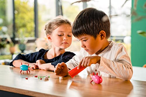 Dujardin - Le Cochon Qui Rit par 2 - Jeu de société pour Enfant - A Jouer en famile - 2 Joueurs - Dès 4 Ans