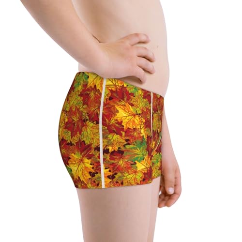 Boys' Cotton Boxer Brief Soft Underwear-Vintage Maple Leaf Autumn2