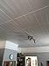 À LA MAISON CEILINGS R104 Bead Board Foam Glue-up Ceiling Tile (21.6 sq. ft./Case), Pack of 8, Plain White