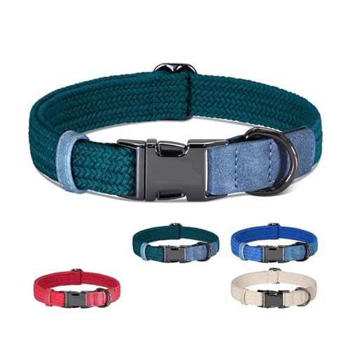 Collier chien réglable taille L pour grand canidé sangle nylon robuste