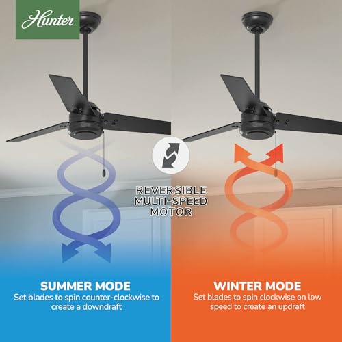 Image of Hunter Cassius, Outdoor or Indoor, Ceiling Fan, 44 inch, Matte Black
