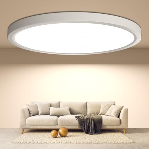 DetarZinLED plafondlamp LED plafondlamp, IP44 waterdichte badkamerlamp rond plat 24W 4000K 2640LM moderne eenvoudige lamp dun voor woonkamer badkamer slaapkamer keuken balkon kelder kantoor, 300*30mm