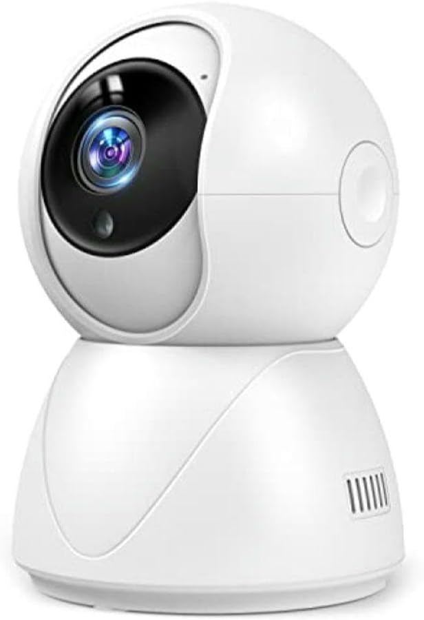 奥谷 博、「紅白牡丹図」、希少画集・額装画、日本製・新品額縁にて