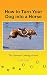 Produktbild How to Turn Your Dog into a Horse: The Option to Owning a Horse