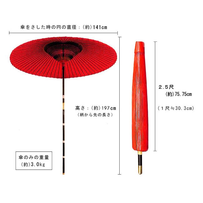 Amazon｜のだて傘 野点傘 小 2.5尺 茶席用 茶道 茶会 野点 和傘