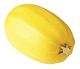 Spaghetti Squash, Locally Grown