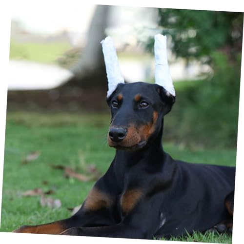 Support oreilles de chien pour maintenir droites en sécurité - 6