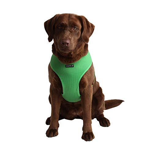 Puppia Soft Dog Harness No Choke Over-The-Head Triple Layered Breathable Mesh Adjustable Chest Belt And Quick-Release Buckle, Green, Medium #TOP2
