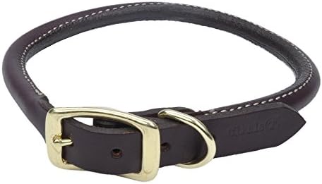 Coastal - Circle T - Latigo Leather Round Dog Collar with Brass Hardware, Latigo, 1" x 18"