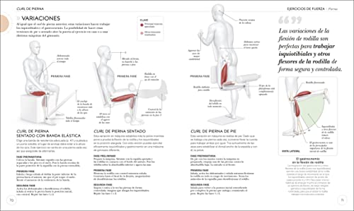 Entrenamiento de Fuerza: Mejora Tu Tã(c)Cnica, Evita Lesiones, Perfecciona Tu Entrenamiento