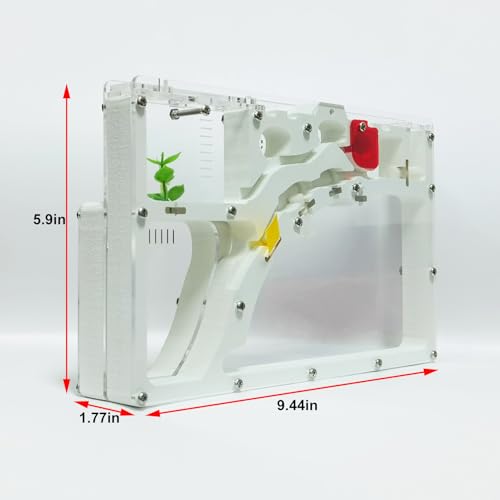 EXBEPE Sand Ant Farm Castle Ant Colony Ecosystem Science Educational Gift Live Ant Habitat to Study Insect Behavior - Image 6