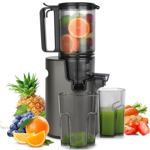 Slow Juicer, Cold Press Juicer for Whole Fruits & Vegetables, Wide 110mm Feeding Chute, Quiet 250W Motor Juice Extractor, Reverse Function
