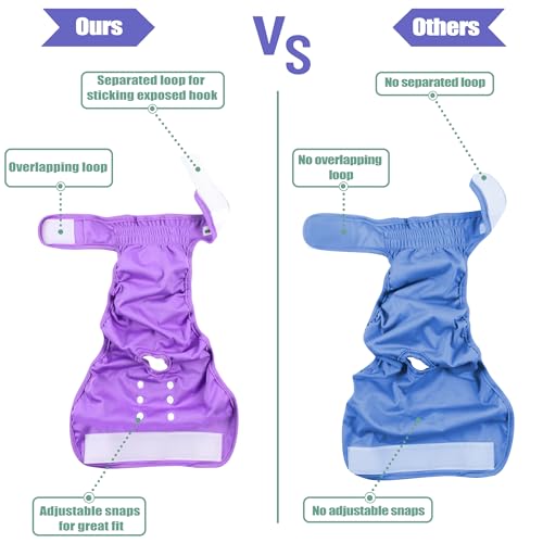 Image of Wegreeco Washable Reusable Premium Dog Diapers, Extra Large, Bright Color, for Female Dog, Pack of 3,Small Dog Puppy & Doggy Diapers Female,Period Panties in Heat