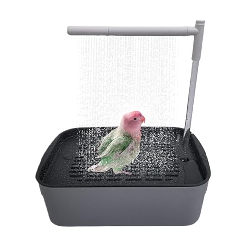 Baignoire oiseau automatique rechargeable avec système de circulation d'eau