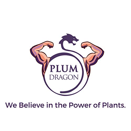 Plum Dragon Licorice Root, Traditional Chinese Herb - Gan Cao - Glycyrrhizae Uralensis - Sliced Organic Mulethi Tonify Qi, Energy, Supports Healthy Weight, Skin And Lung Health - 1 Oz #TOP4