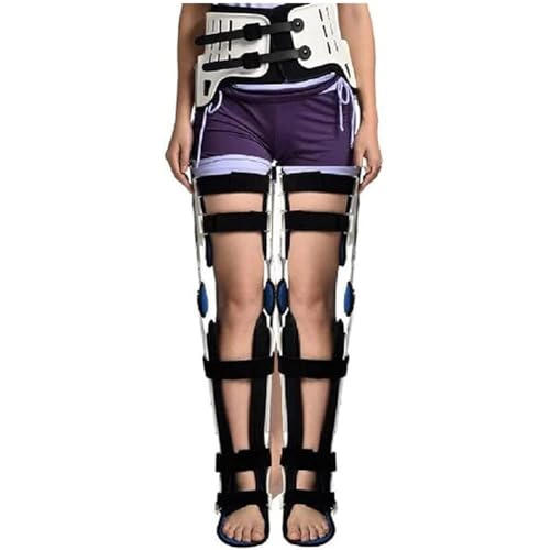 Ҋ֐ߍ܃nre[V@pҊ֐ߕG񑫑Œu[Xڍڍ܌Ҋ֐ߕs萫჋řŒirj