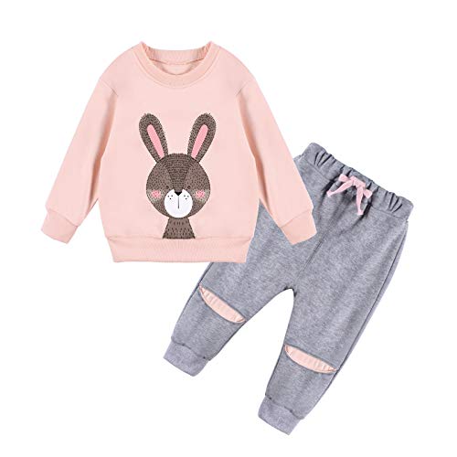 Toddler Baby Girls Outfits Cute Sweatshirt Set Long Sleeve Tops and Pants 2Pcs Clothes Set (PINK2, 6-12Months)