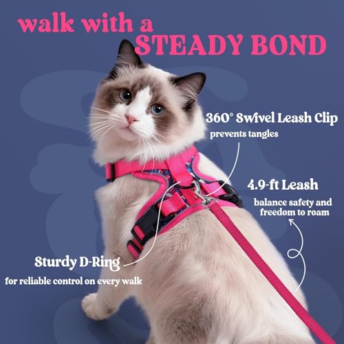 Image of rabbitgoo Cat Harness and Leash Set, Escape Proof Vest, Coconut Fuchsia | Soft Breathable Mesh, Easy Adjustable Fit, Snap Buckles, Sturdy Clip, Reflective Strips, for Small & Average Cats Walks, Xs