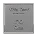 Price comparison product image Evergreen Frame, Silver Plated, 5x5 [12x12cm]