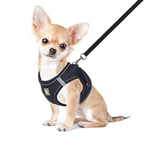 FEimaX Dog Harness and Leash Set for Small Medium Dog Cat No Pull Adjustable Soft Mesh Chihuahua Chest Harness Puppy Reflective Step-in Safety Vest for Outdoor Walking