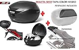SHAD Kit BAUL Maleta Trasero SH39 litros + FIJACION + Respaldo Pasajero Regalo - DAELIM Daystar 125 2000-2017