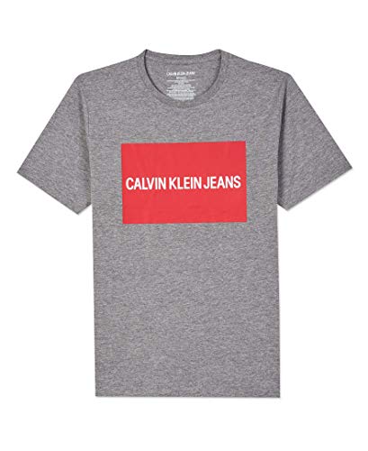 Calvin Klein Boys' Institution Logo Crew Neck tee Shirt, Grey Heather 2, 5