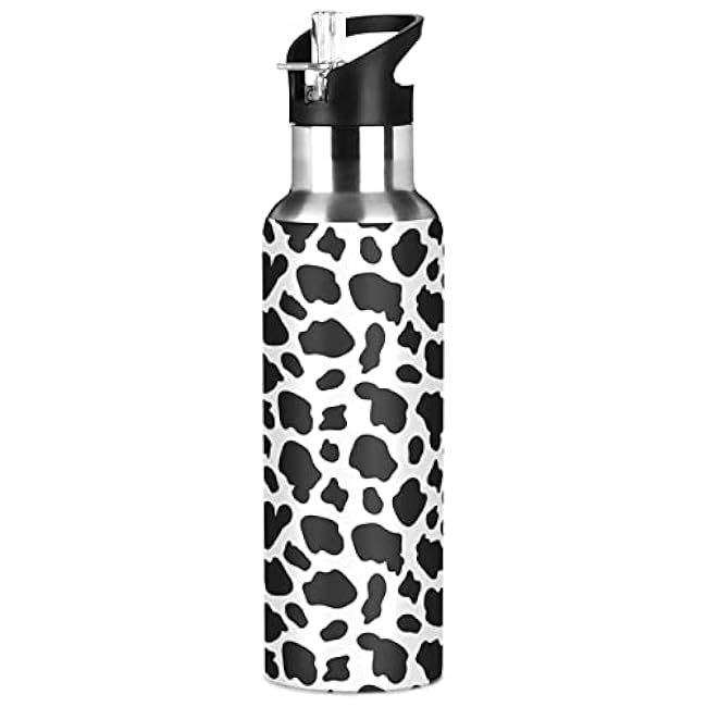 ALAZA Fire Rainbow Dragon Water Bottle with Straw Lid Vacuum Insulated Stainless Steel Thermo Flask Water Bottle 20oz