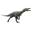 Megaraptor 1:35 Scientific Restoration Dinosaur Model