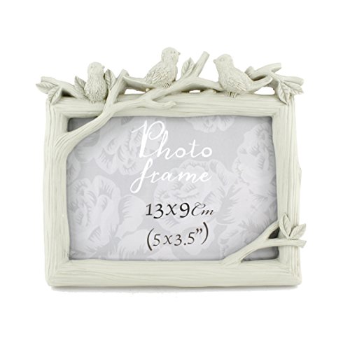 Zhenzan Frames Birds and Tree Polyresin Picture Frame (3.5x5, Green)