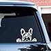 Autocollant créatif réfléchissant pour voiture - Motif bouledogue français - 16 x 10 cm - Blanc