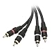 CableWholesale 12-Feet 2 RCA Male/2 RCA Male, Audio Cable (10R2-02112)