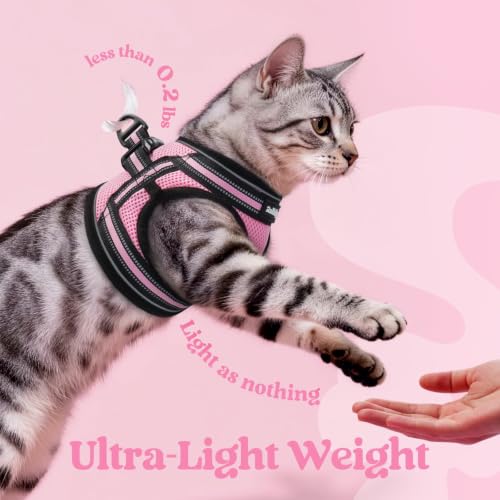 Image of rabbitgoo Cat Harness and Leash Set, Step-in Soft Vest, Pink | Escape Proof, Lightweight, Easy-on & Adjustable, Hook & Loop with Buckle, Reflective, for Small Cats Walks, XL