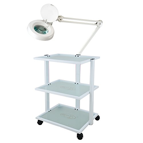 Arbeitswagen Beauty Kosmetikwagen Beistellwagen inkl. Lupenlampe 5 D