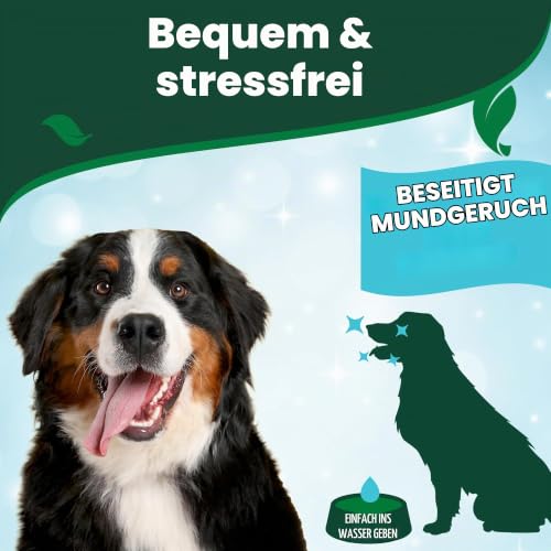 Vet's Best Atemerfrischer Wasserzusatz für Hunde - Minzgeschmack 500ml