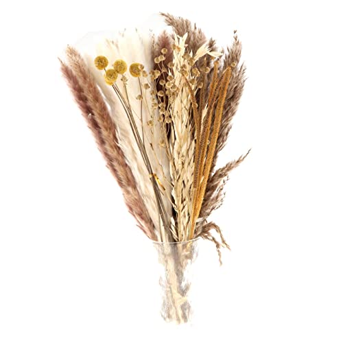 Generic 70 pçs seca 43 cm pacotinho secas decorativas buquê misto para fotografia, vaso, decoração d