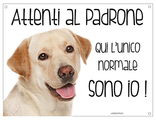 LABRADOR Attenti al padrone qui l'unico normale sono io! CANE CARTELLO TARGA IN METALLO (15X20)