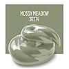 FolkArt Acrylic Craft Paints, Mossy Meadow 8 fl oz Premium Matte Finish Paint, Perfect For Easy To Apply DIY Arts And Crafts, 36274 #2