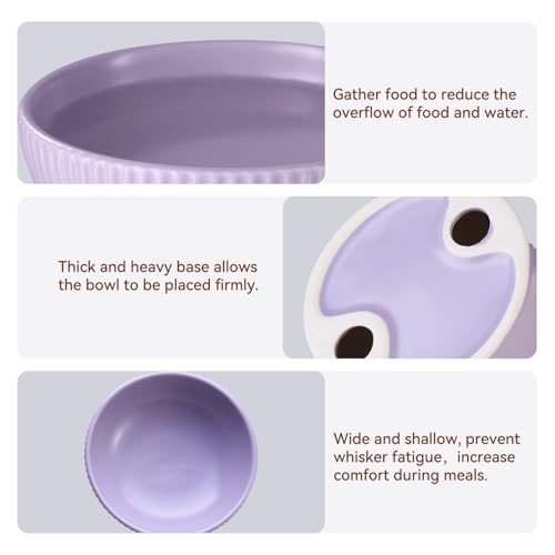 Gamelles en céramique pour chat avec support ergonomique incliné design chic