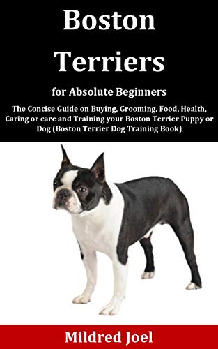 boston terrier care