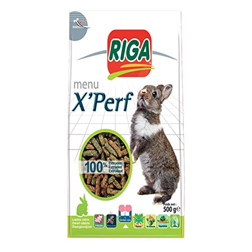 Riga X'PERF dwergkonijn, 500 g - Image 3