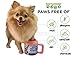 Paw Plunger for Medium Dogs – Portable Dog Paw Cleaner for Muddy Paws – This Dog Paw Washer Saves Floors, Furniture, Carpet and Vehicles from Paw Prints – Soft Bristles, Convenient Cup Handle, Black