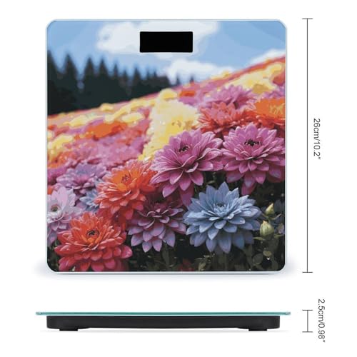 Báscula digital de baño Rainbow Flower Sea con pantalla grande miniatura 2