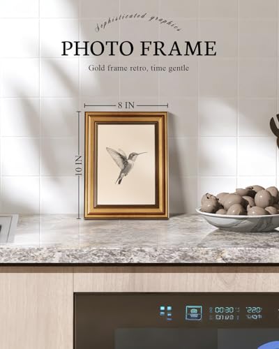 VIYYIEA Vintage Gold Framed Wall Art for Living Room, Birds Canvas Prints Home Decor, Sketch Painting Picture, Bedroom Wall Decor Gifts for Friends or Family -【Hummingbird】-(10L x 8W) - Image 3