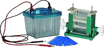 Protein Electrophoresis Unit