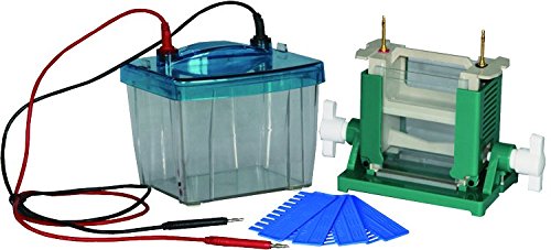Protein Electrophoresis Unit