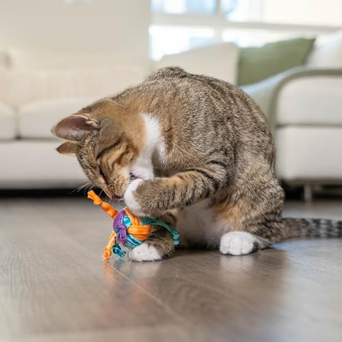 Petstages Tons of Tails - Zahnpflege-Katzenspielzeug mit Katzenminze - Spielzeug mit Bändern - Mehrfarbig