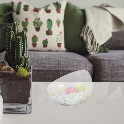 Maceta de vidrio semicircular de cuidado facil para plantas hidroponicas 7